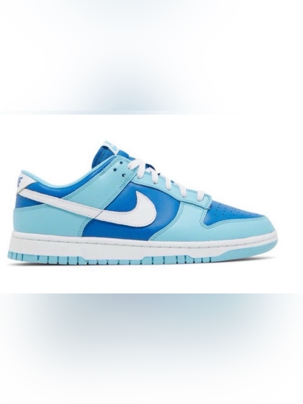 Low Top Nike Dunks
